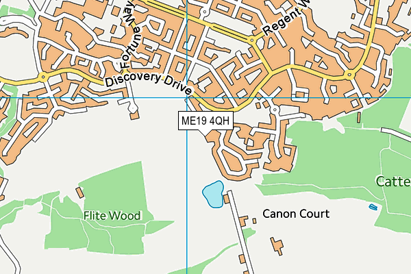 ME19 4QH map - OS VectorMap District (Ordnance Survey)