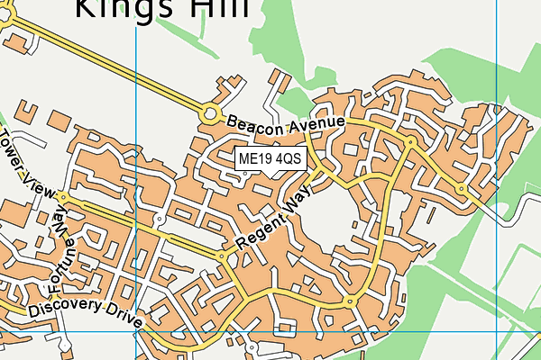 ME19 4QS map - OS VectorMap District (Ordnance Survey)