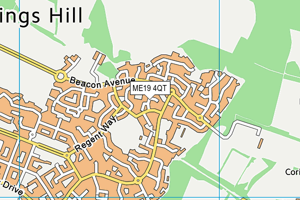 ME19 4QT map - OS VectorMap District (Ordnance Survey)