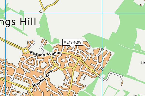 ME19 4QW map - OS VectorMap District (Ordnance Survey)