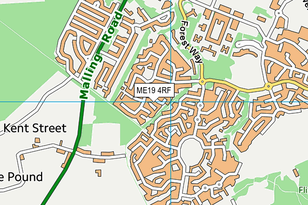 ME19 4RF map - OS VectorMap District (Ordnance Survey)