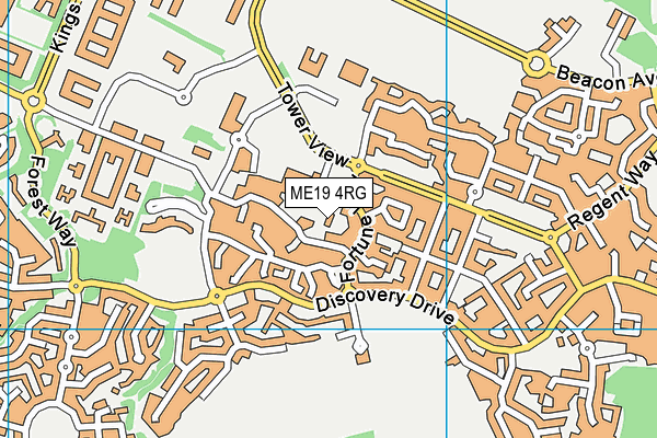 ME19 4RG map - OS VectorMap District (Ordnance Survey)