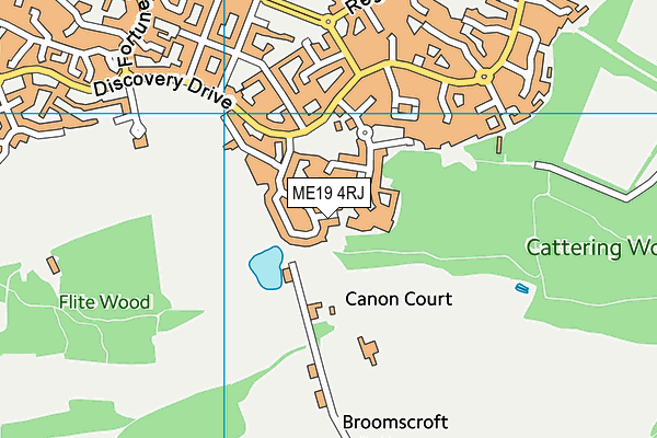 ME19 4RJ map - OS VectorMap District (Ordnance Survey)