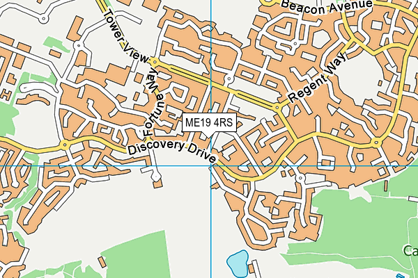 ME19 4RS map - OS VectorMap District (Ordnance Survey)