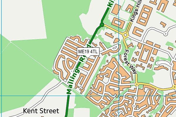 ME19 4TL map - OS VectorMap District (Ordnance Survey)