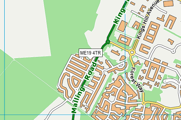 ME19 4TR map - OS VectorMap District (Ordnance Survey)