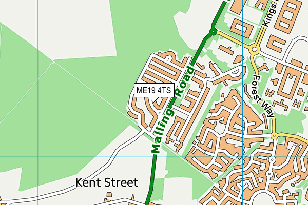 ME19 4TS map - OS VectorMap District (Ordnance Survey)