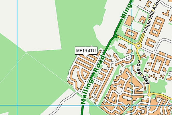 ME19 4TU map - OS VectorMap District (Ordnance Survey)