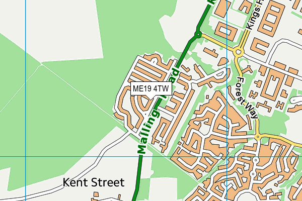 ME19 4TW map - OS VectorMap District (Ordnance Survey)
