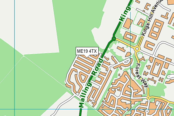 ME19 4TX map - OS VectorMap District (Ordnance Survey)