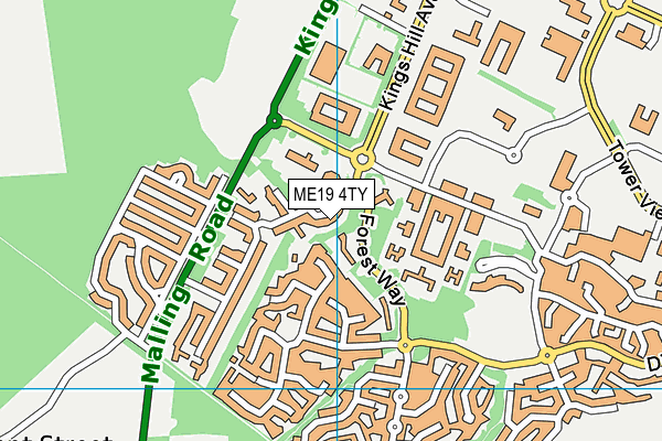 ME19 4TY map - OS VectorMap District (Ordnance Survey)