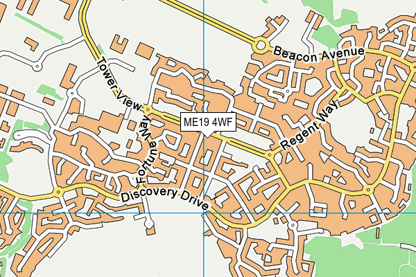 ME19 4WF map - OS VectorMap District (Ordnance Survey)