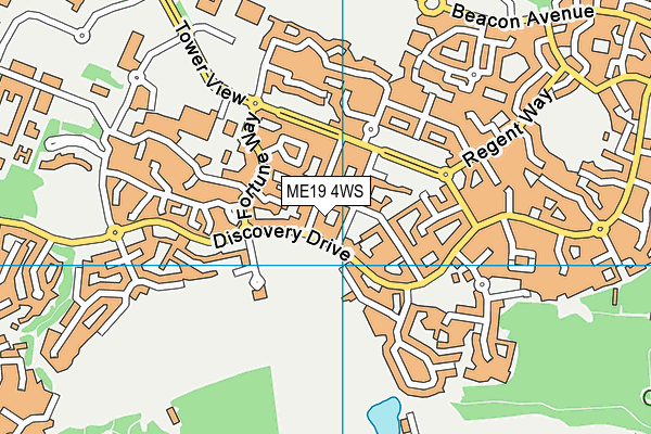 ME19 4WS map - OS VectorMap District (Ordnance Survey)