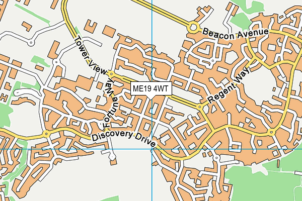 ME19 4WT map - OS VectorMap District (Ordnance Survey)
