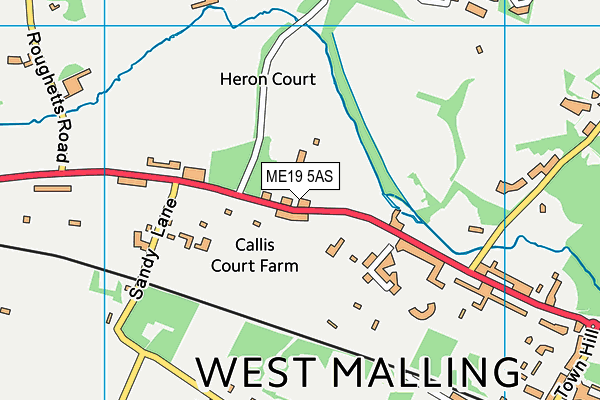 ME19 5AS map - OS VectorMap District (Ordnance Survey)