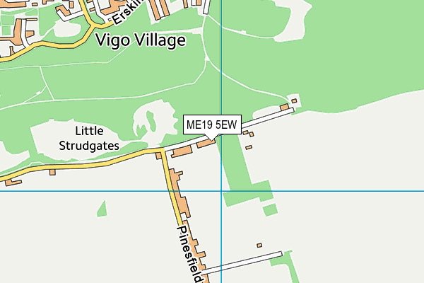 ME19 5EW map - OS VectorMap District (Ordnance Survey)