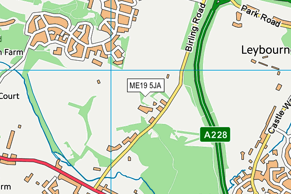 ME19 5JA map - OS VectorMap District (Ordnance Survey)