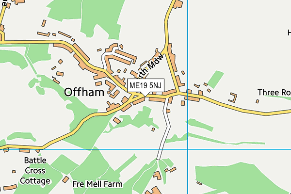 ME19 5NJ map - OS VectorMap District (Ordnance Survey)