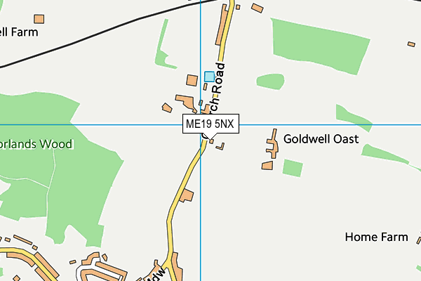 Offham Primary School map (ME19 5NX) - OS VectorMap District (Ordnance Survey)