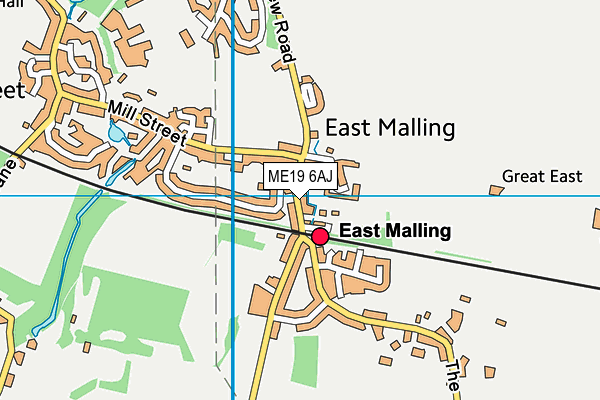 ME19 6AJ map - OS VectorMap District (Ordnance Survey)