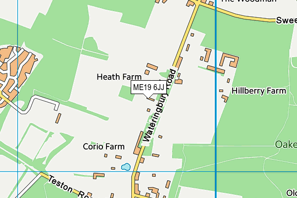ME19 6JJ map - OS VectorMap District (Ordnance Survey)