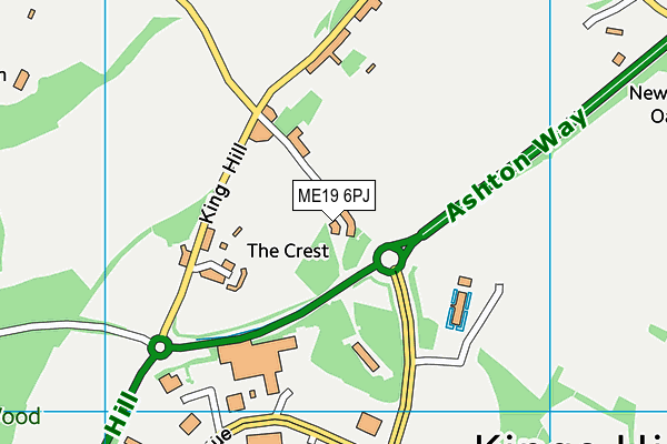 ME19 6PJ map - OS VectorMap District (Ordnance Survey)