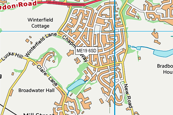 St James the Great Academy map (ME19 6SD) - OS VectorMap District (Ordnance Survey)