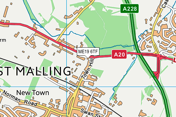 ME19 6TF map - OS VectorMap District (Ordnance Survey)