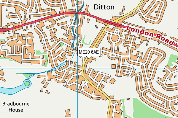 Ditton Church of England Junior School map (ME20 6AE) - OS VectorMap District (Ordnance Survey)