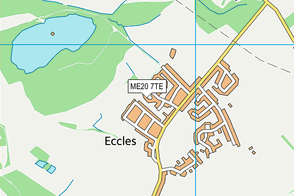 ME20 7TE map - OS VectorMap District (Ordnance Survey)
