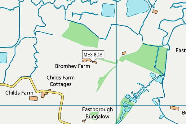 ME3 8DS map - OS VectorMap District (Ordnance Survey)