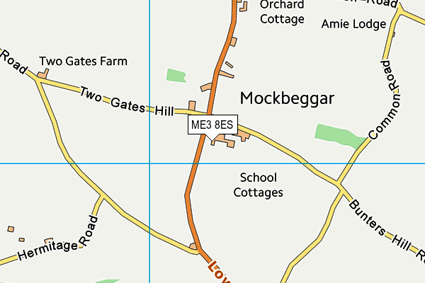 ME3 8ES map - OS VectorMap District (Ordnance Survey)