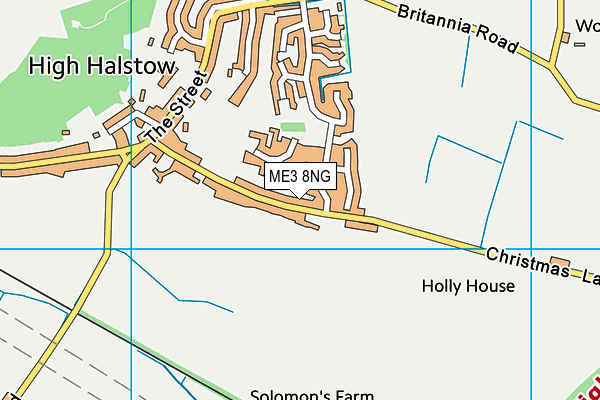 ME3 8NG map - OS VectorMap District (Ordnance Survey)