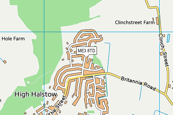 ME3 8TD map - OS VectorMap District (Ordnance Survey)