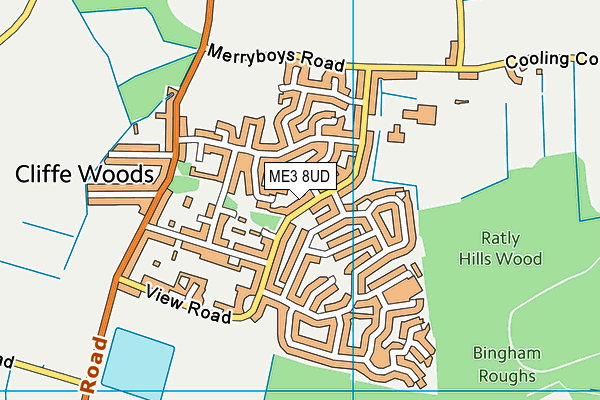 ME3 8UD map - OS VectorMap District (Ordnance Survey)