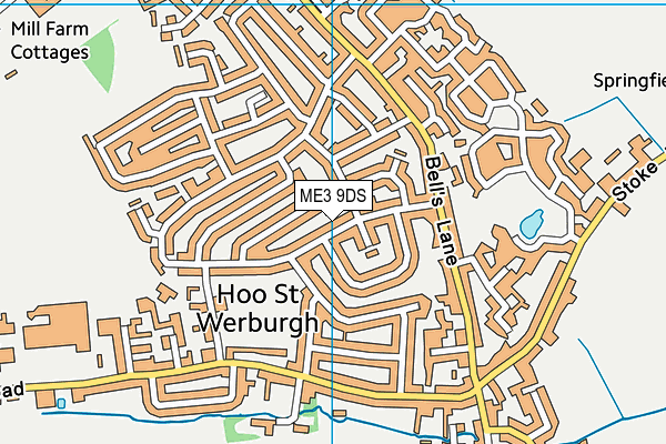 ME3 9DS map - OS VectorMap District (Ordnance Survey)