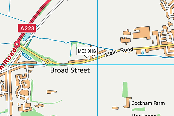 ME3 9HG map - OS VectorMap District (Ordnance Survey)