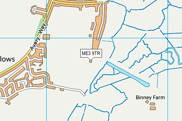 ME3 9TR map - OS VectorMap District (Ordnance Survey)