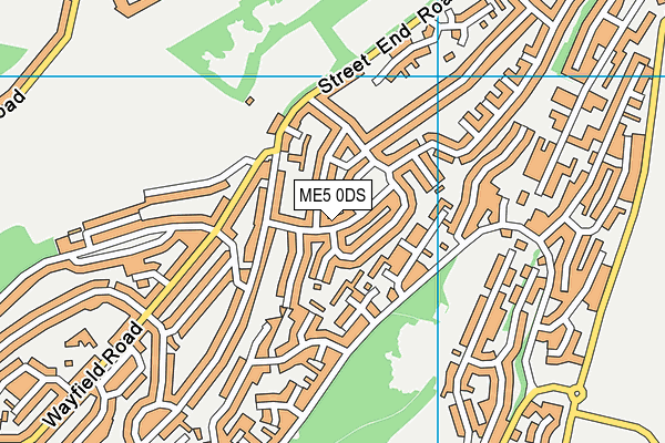 ME5 0DS map - OS VectorMap District (Ordnance Survey)