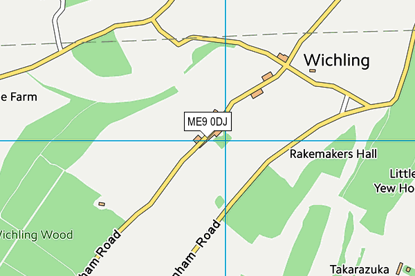 ME9 0DJ map - OS VectorMap District (Ordnance Survey)
