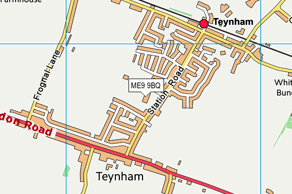 Teynham Parochial Church of England Primary School map (ME9 9BQ) - OS VectorMap District (Ordnance Survey)