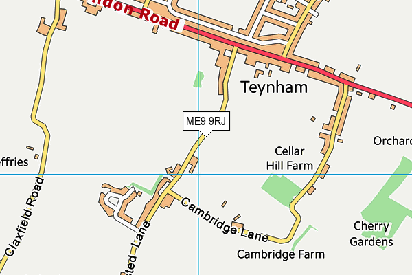 ME9 9RJ map - OS VectorMap District (Ordnance Survey)