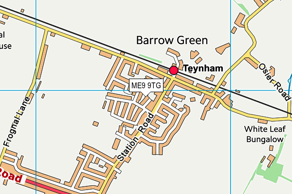 ME9 9TG map - OS VectorMap District (Ordnance Survey)