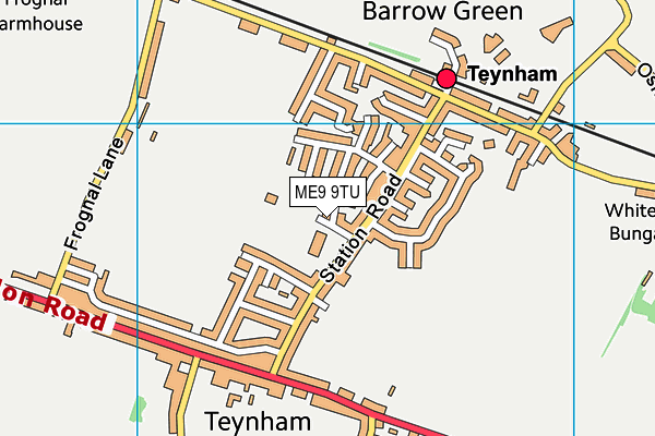 ME9 9TU map - OS VectorMap District (Ordnance Survey)