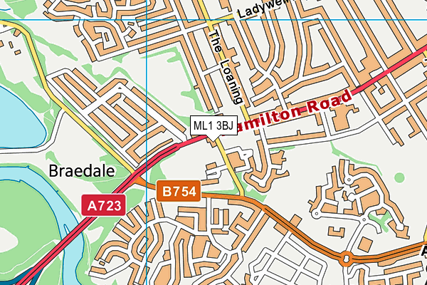 ML1 3BJ map - OS VectorMap District (Ordnance Survey)