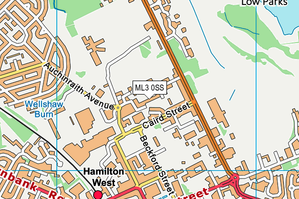 ML3 0SS map - OS VectorMap District (Ordnance Survey)