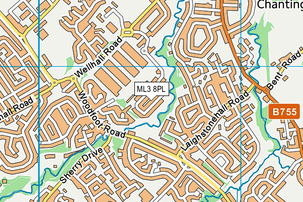 ML3 8PL map - OS VectorMap District (Ordnance Survey)