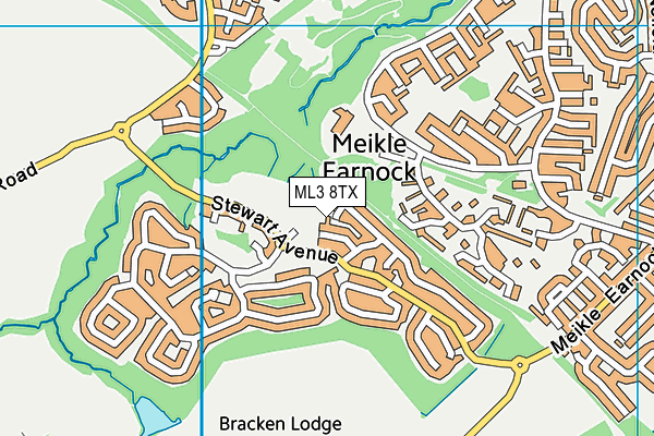 ML3 8TX map - OS VectorMap District (Ordnance Survey)