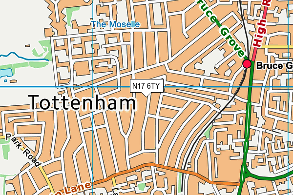 N17 6TY map - OS VectorMap District (Ordnance Survey)