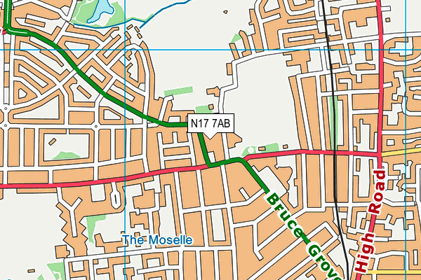 Risley Avenue Primary School map (N17 7AB) - OS VectorMap District (Ordnance Survey)